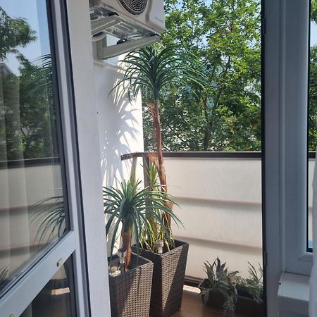 Apartman-Florianska Košice Eksteriør bilde